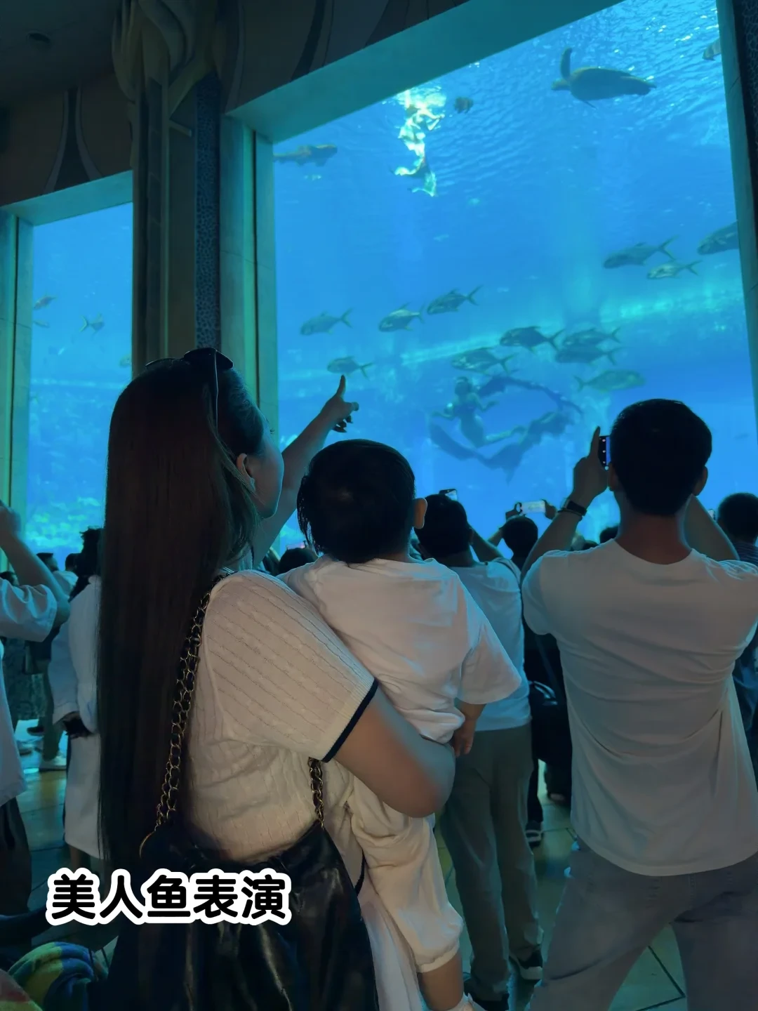 三亚亲子游|入住亚特兰蒂斯亲子房🐋🐳🐬🦭