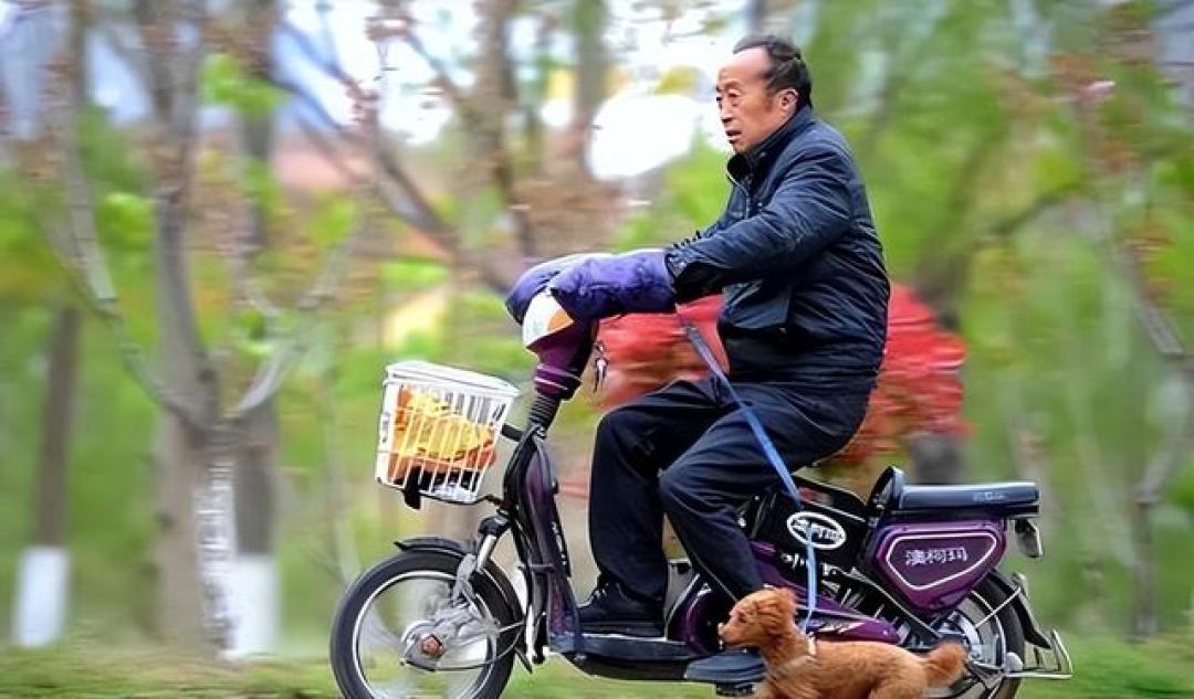 “老头乐”替代品来了!适合60岁以上老年人,不罚不扣能上牌上路