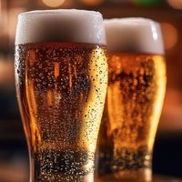 30元精酿真值8元工业拉格三倍？看透原料、工艺与风味溢价真相