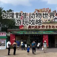 广州长隆野生动物世界游玩攻略。
长隆野生动物世界园区很大，如果您没做攻略就去玩，就有可能会走冤枉路，还会错过一些精彩的表演项目，这个视频建议看一看，喜欢的先点个收藏。
#广州旅游攻略 #长隆野生动物世界 #国宝大熊猫 #长隆小火车 #长隆缆车
