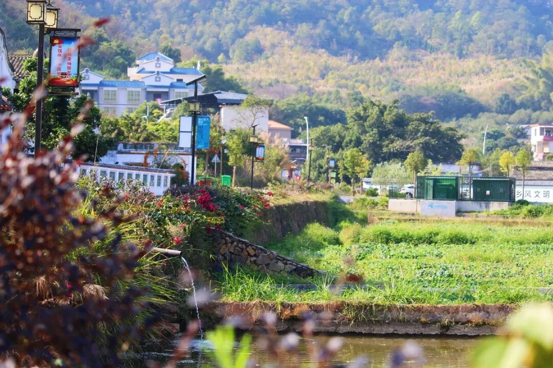 年味不输潮汕、佛山!这座动车直达的岭南老城,遍地美食,还藏着最鲜活的客家年俗~