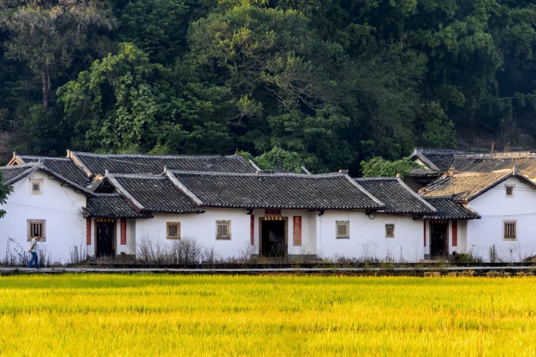 年味不输潮汕、佛山!这座动车直达的岭南老城,遍地美食,还藏着最鲜活的客家年俗~