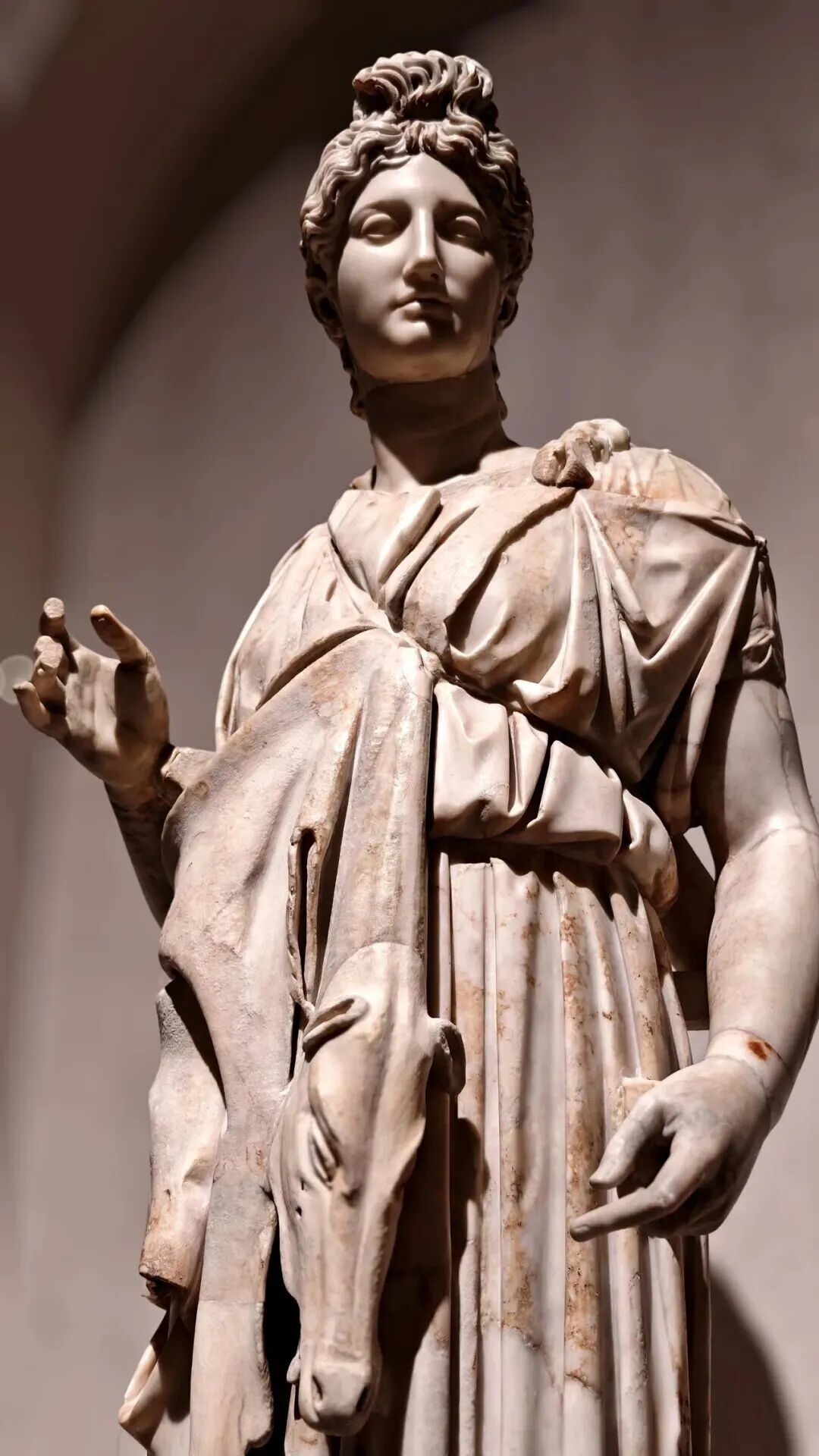假期看展!沪上各大博物馆观展攻略来了~