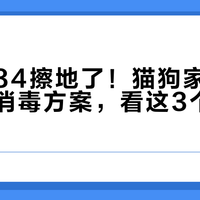 别再用84擦地了！猫狗家庭真正安全的消毒方案，看这3个关键指标