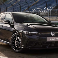 大众汽车承诺：将长期生产高性能燃油“小钢炮”