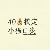 40💰搞定猫咪口炎❗