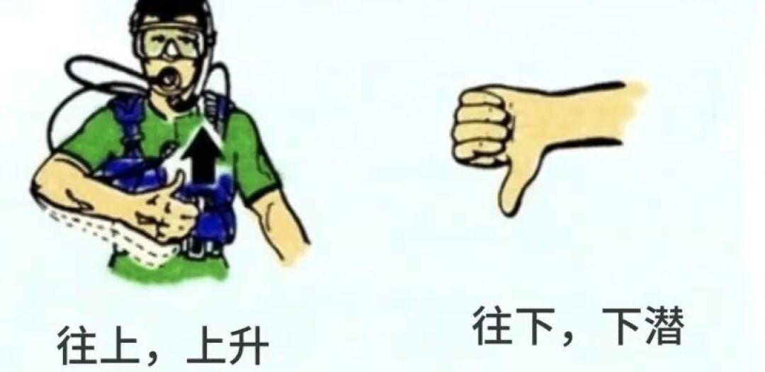 马来|深潜的潜水必备好物及注意事项