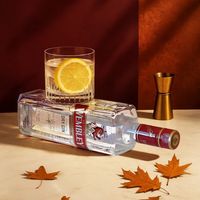 当杜松子遇见果香与草本｜一篇喝懂金酒