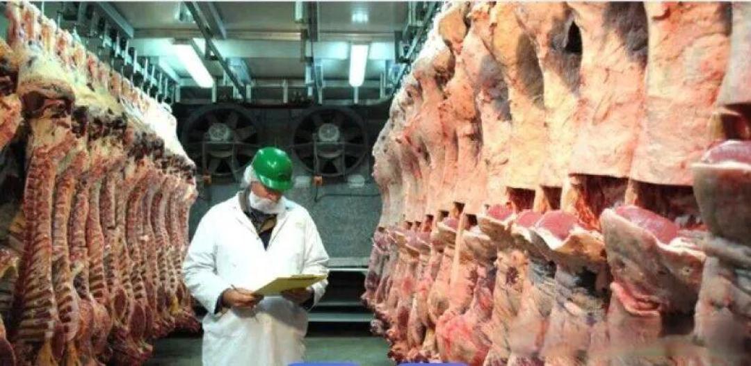 涨价潮!进口羊肉价格创新高,形成“进口端领涨、零售端跟涨”的行情!