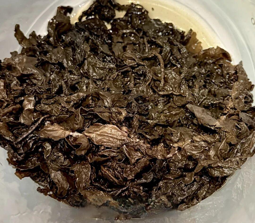 品乌龙老茶，话健康生活——乌龙茶沙龙品鉴活动让茶香与健康温暖相遇