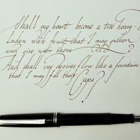 钢笔笔尖上写着