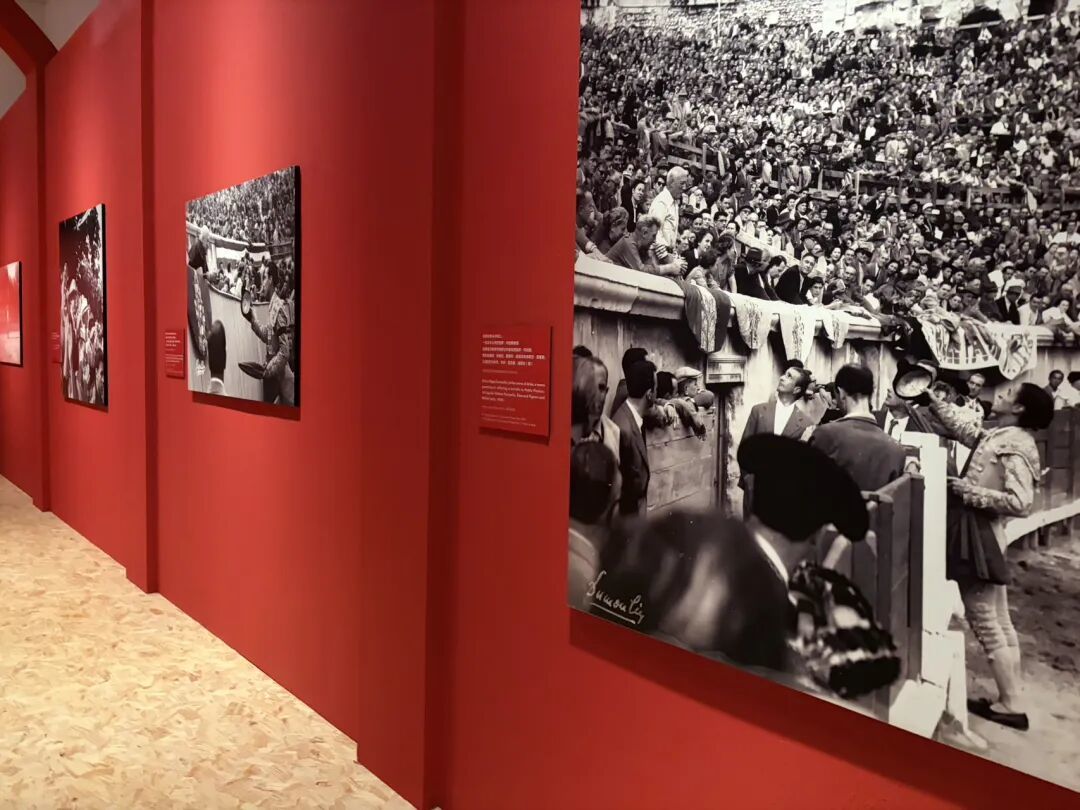 丁丁看展：遇见毕加索和Paul Smith，一场时髦的艺术漫游