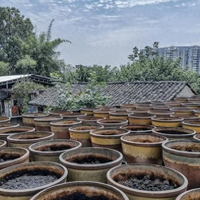 超市货架上的酱油琳琅满目，你选对了吗？