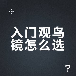 对这款观鸟镜狠狠种草了！