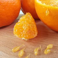🍊耙耙柑和丑橘到底有什么区别？科普笔记📝