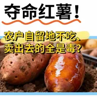 “夺命红薯”用禁药甲拌磷，
农户自留地不吃、
卖出去的全是毒？
#红薯 #食品安全 #云南 #科普冷知识 #农药