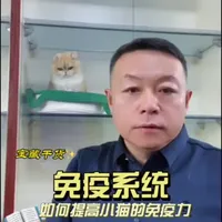 种猫免疫力 免疫力解决办法#直播间 #免疫力 #猫叔课堂 #测测你的马年奔头