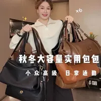 6只！统治秋冬实用大容量包包👜小众～高级 #百搭包包 #包包推荐 #小众包包 #上班背什么包 #用暖系氛围感打开冬日