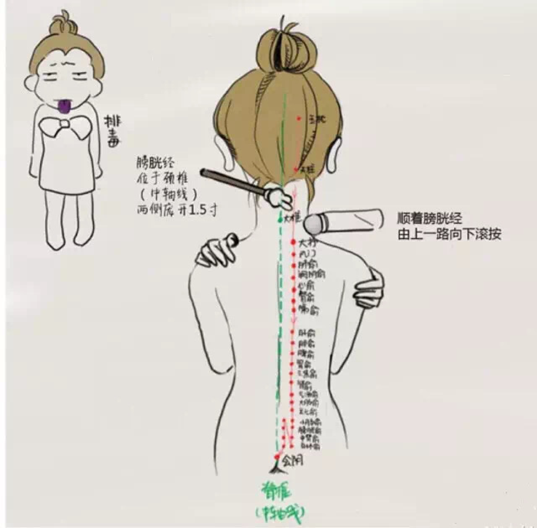 1 套疏通膀胱经的瑜伽序列,排毒、消除身体浮肿!