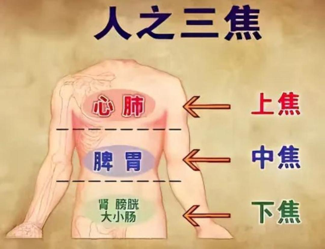 中医提醒:奉劝大家别不信,冬天晚上没事的话,不要睡得太早