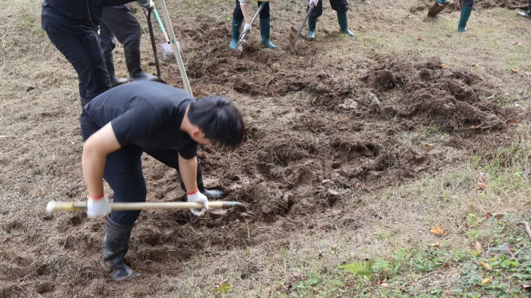 搬砖、种地、搭顶棚……这支香港实践队用一砖一瓦『永续乡郊』