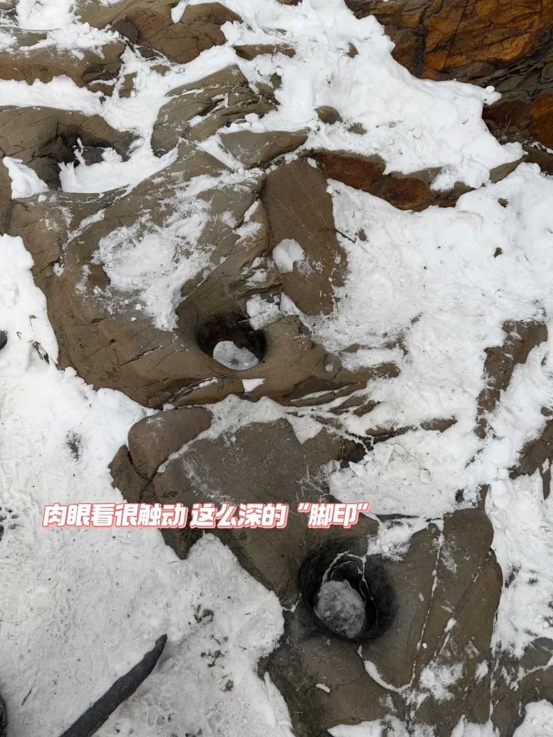 0台阶❣️可玩雪可徒步的宝藏线路🐕