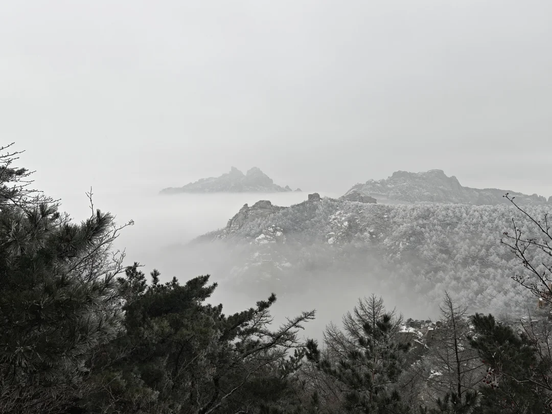 云海+雾凇,崂山限定浪漫❄️附保姆级指南