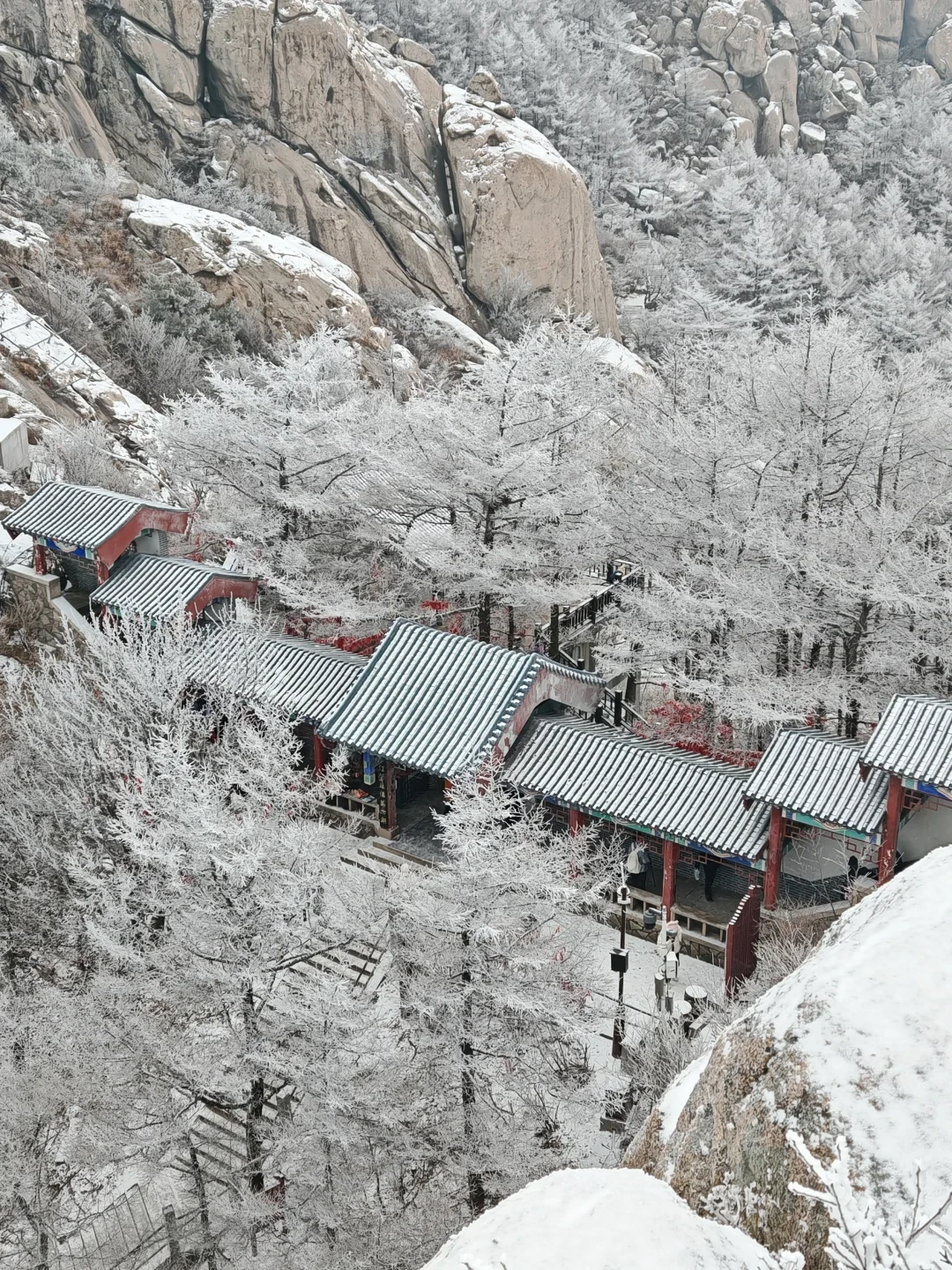 云海+雾凇,崂山限定浪漫❄️附保姆级指南