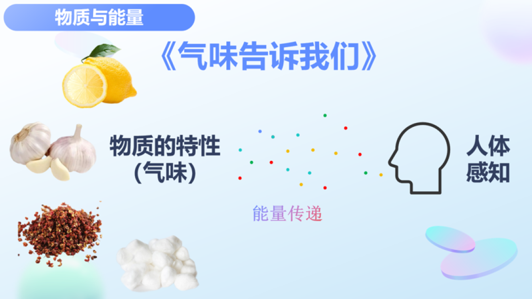 【继红教师·学术蓄能】基于STEAM理念,“小切口”深度探索——继红小学科学学科微分题教学实践总结