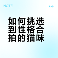 从肉垫看性格🐱|新手养猫看这篇就够啦！