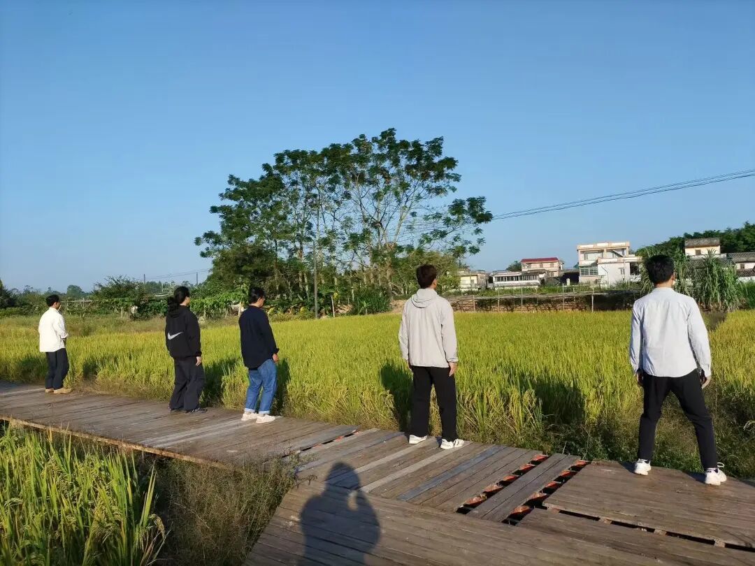 在路上相遇Vol.3 |在乡村,年轻人们正打造不一样的生活