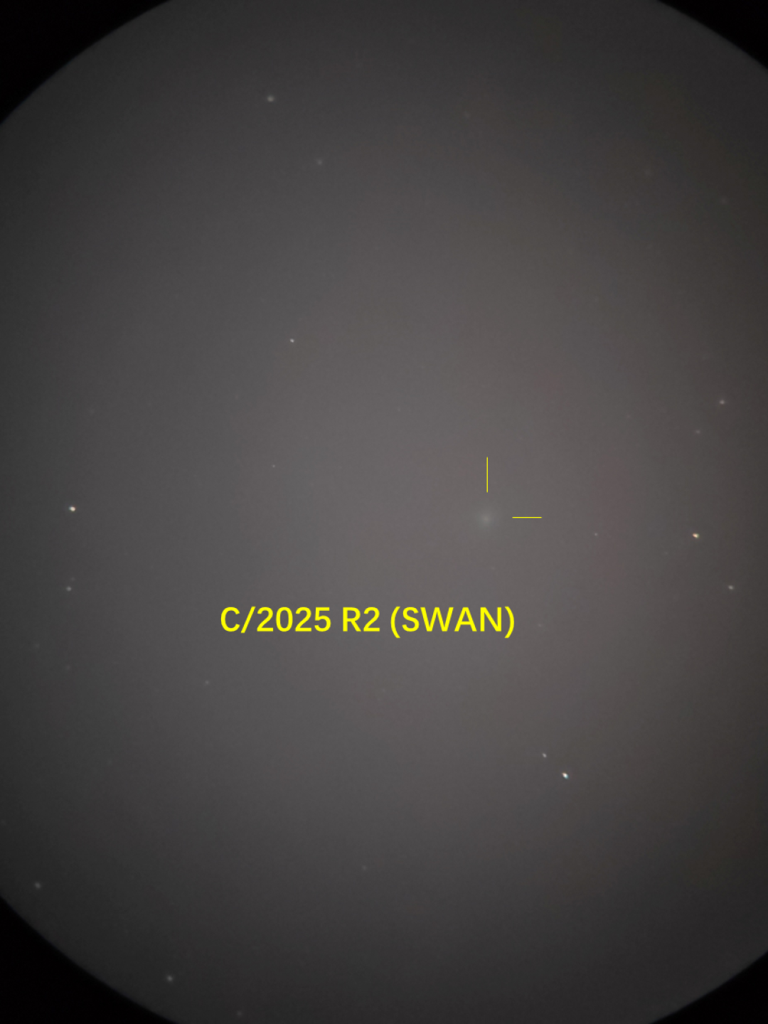 Lemmon与SWAN彗星目视小记