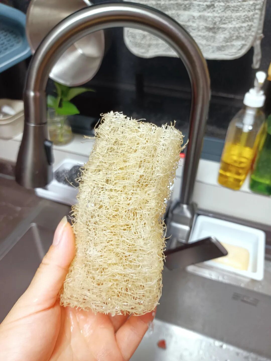 被60岁阿姨的“节俭生活”圈粉了,会生活的人,真了不起!