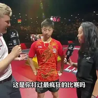 马龙樊振东上演世纪乒坛巅峰对决