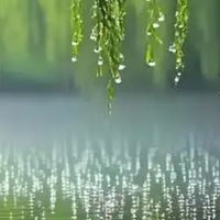 春节假期的碎片里，轻阅读才是治愈良方