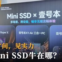方寸间，见实力 Mini  SSD 牛在哪？