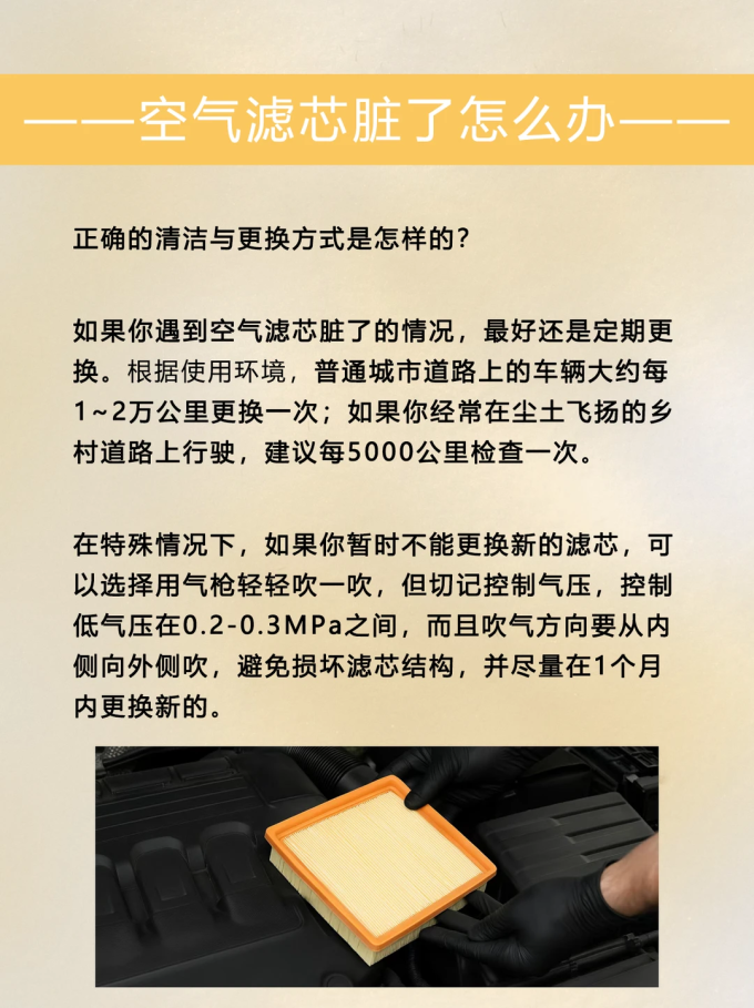 滤清器