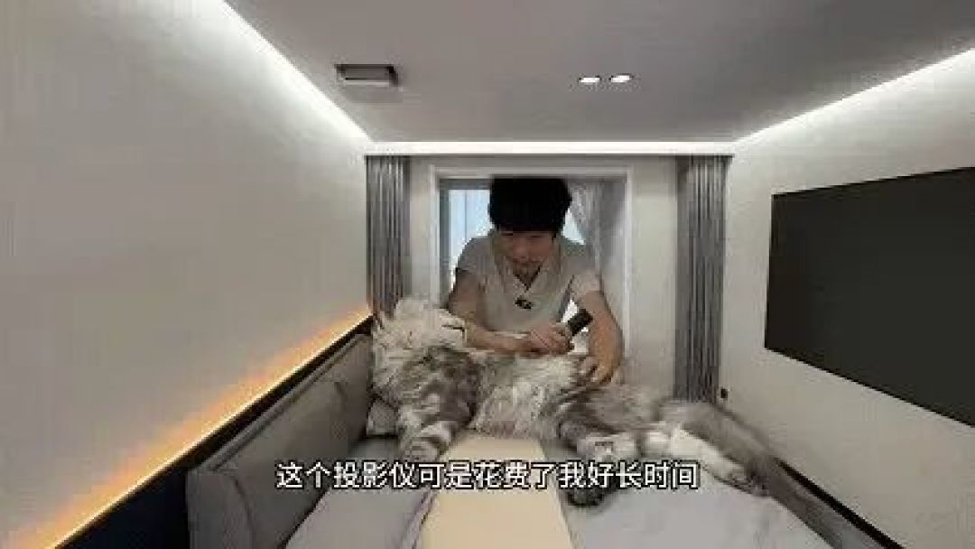 两天时间里就播放过亿?博主竟然给，自家猫猫建造了一座“猫猫城”?!