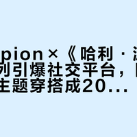 Champion×《哈利·波特》联名系列引爆社交平台，四大魔法学院主题穿搭成2025年秋季消费热点