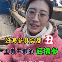 好海参其实都丑，土黄干瘪的底播参，才是好东西。#海鲜原产地 #美食 #育儿 #海参
