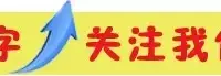 秋冬穿搭的氛围制造机,酒红色V领毛衣编织图解