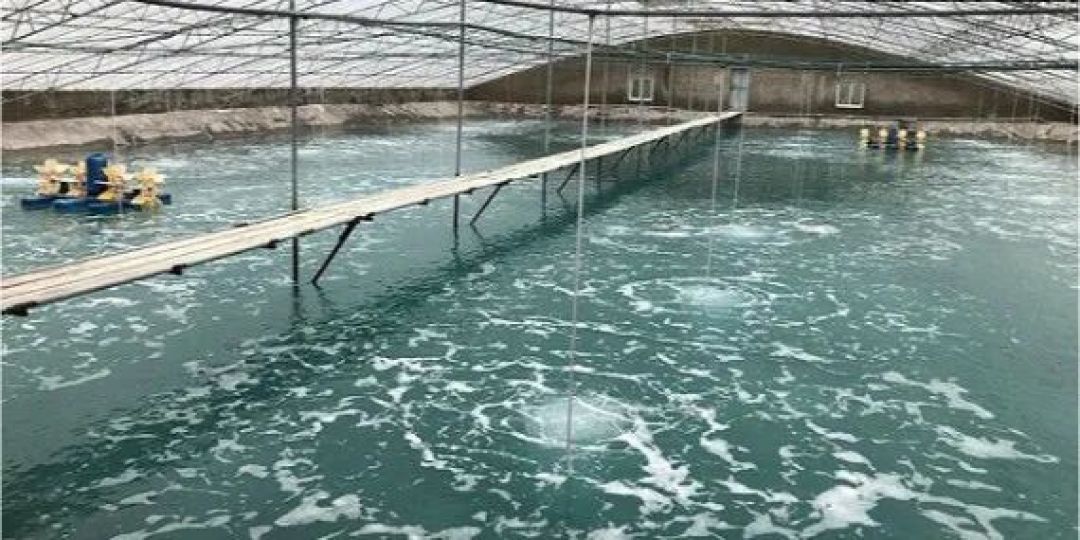 水产养殖池塘增氧机配备原则