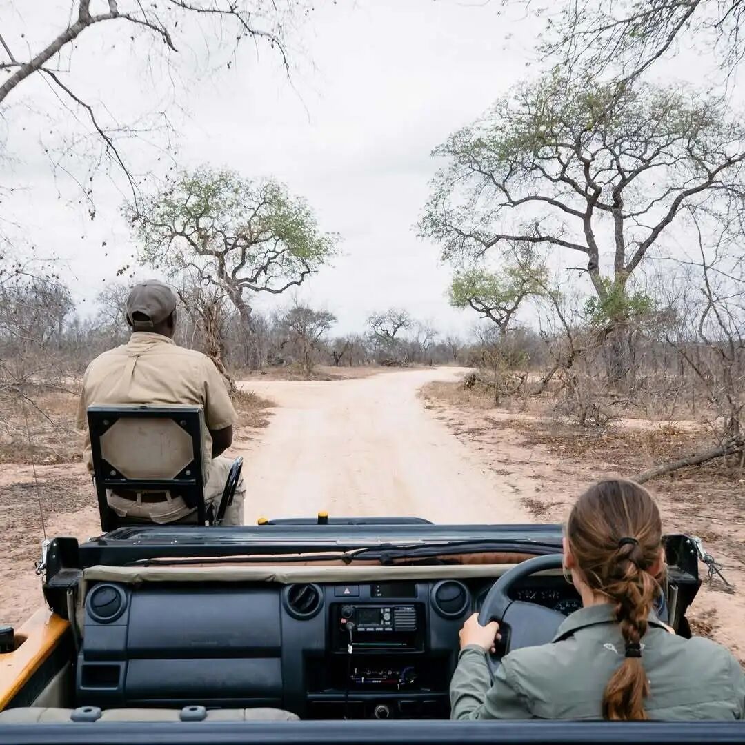 南非过大年|大克鲁格生态圈Safari游览攻略
