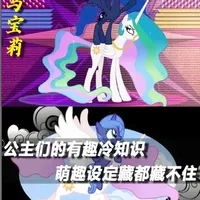 【小马宝莉】公主们的有趣冷知识，萌趣设定藏都藏不住 #小马宝莉 #动画 #充能计划