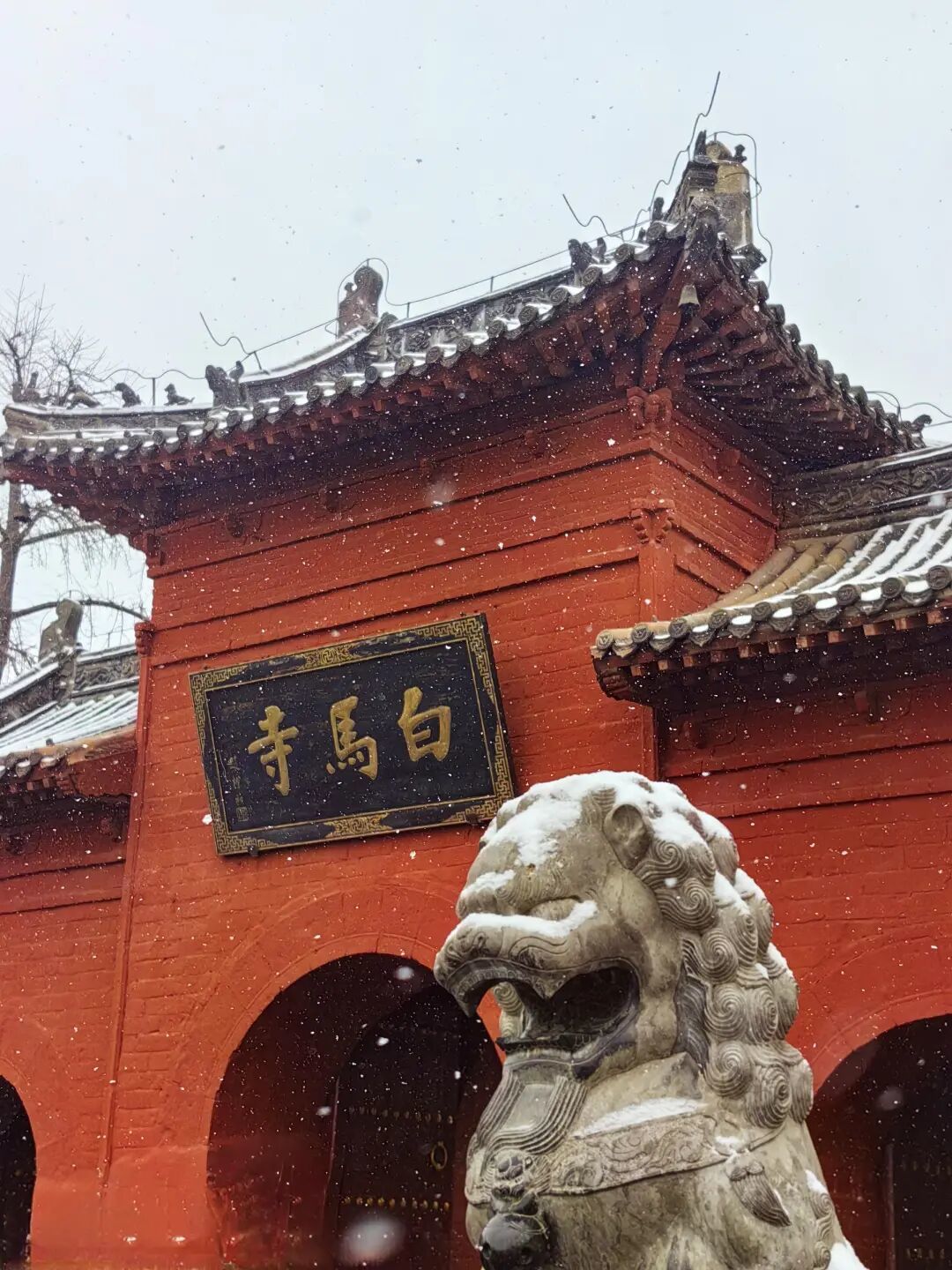 高铁直达!适合1-2月小预算出行的5个宝藏城市,预算800+,挑一个出发吧!