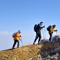 登山杖全科普：选对、用对，才是解锁户外徒步安全感