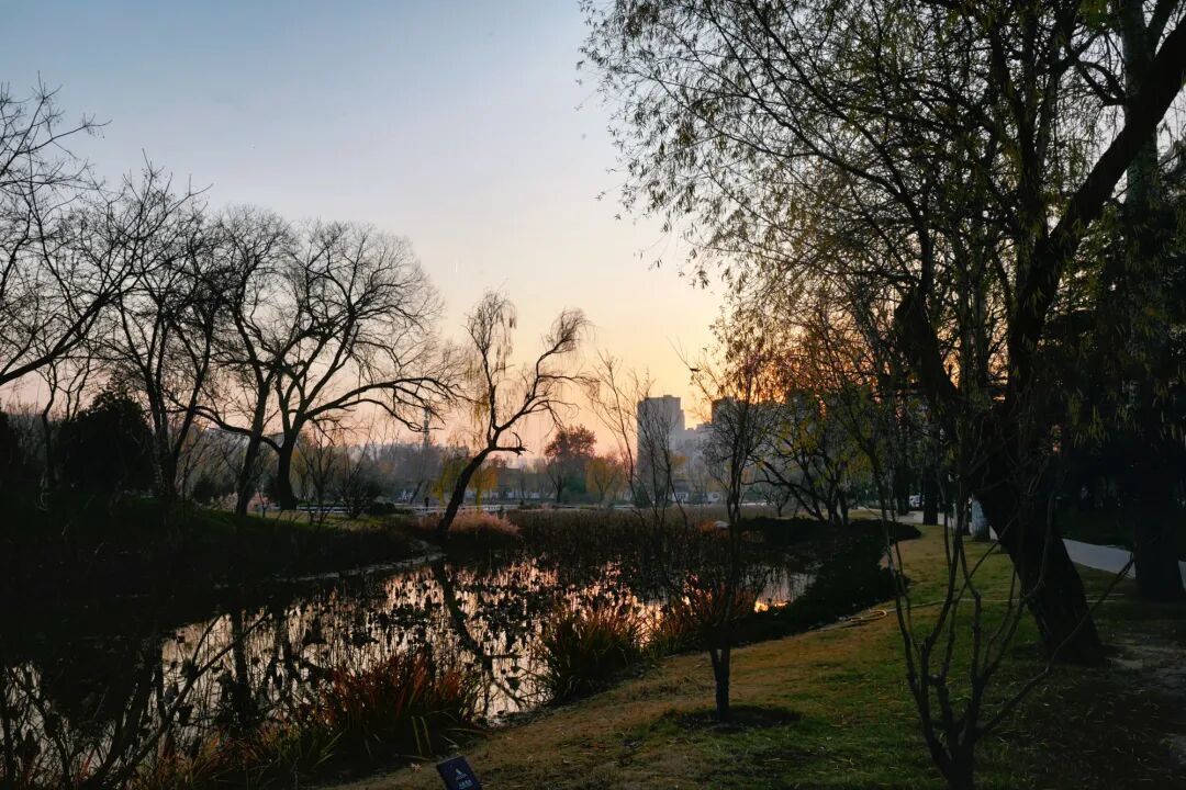 适配春节的年味城市!千年历史配地道美食,这里小众不挤人