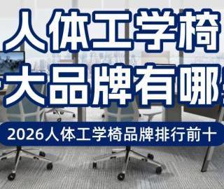 人体工学椅十大品牌有哪些？2026人体工学椅品牌排行前十
