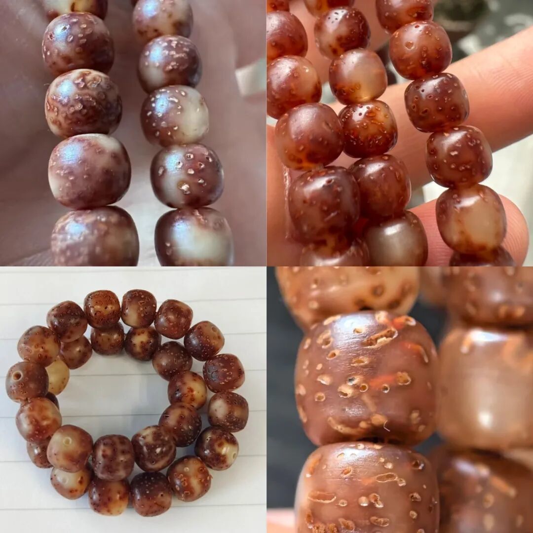 网上的星月“毕业照”就是个骗局？