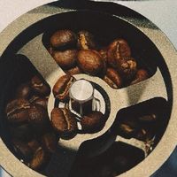 手冲咖啡：从入门到分享